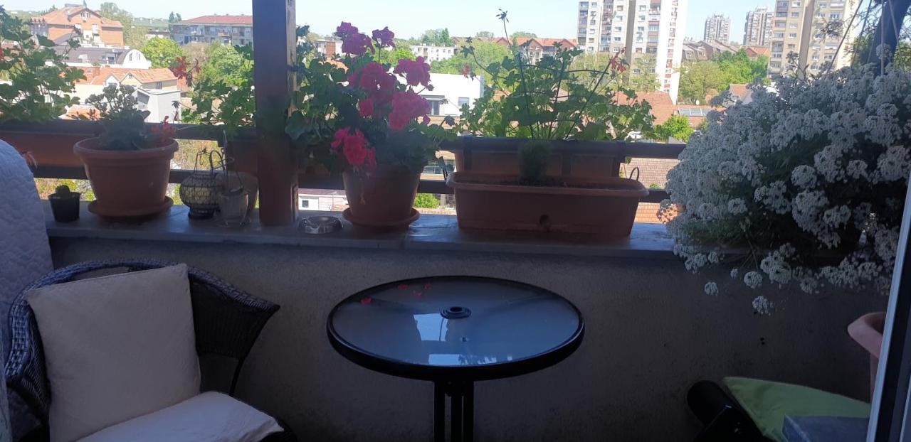 Apartmani Emerald Dream Novi Sad Ngoại thất bức ảnh