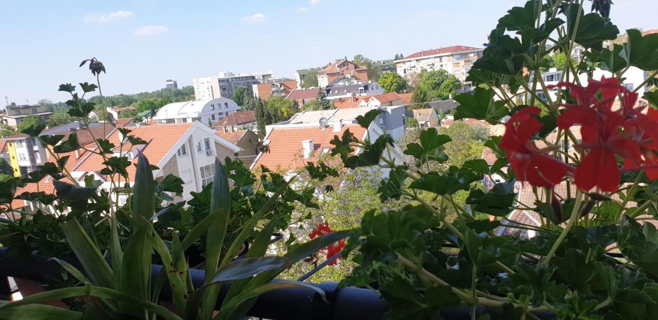 Apartmani Emerald Dream Novi Sad Ngoại thất bức ảnh