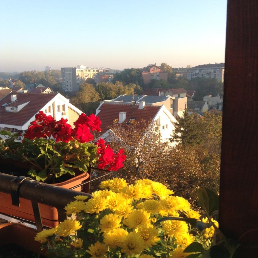 Apartmani Emerald Dream Novi Sad Ngoại thất bức ảnh